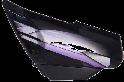 SC HFDLX IBS 2019 BK/PUR-AEROSTAR